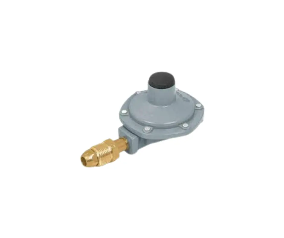 REGULADOR DE GAS LP S.MANERAL 1 VIA AFER RECPAF